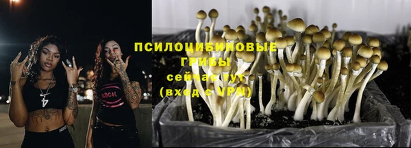 гидра Медвежьегорск