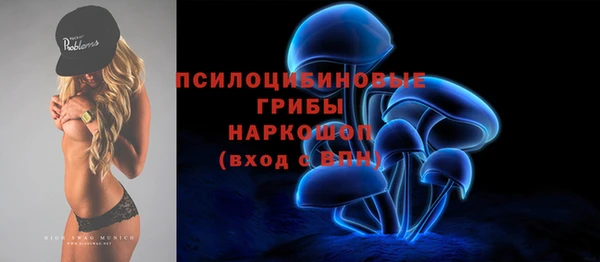 гидра Медвежьегорск