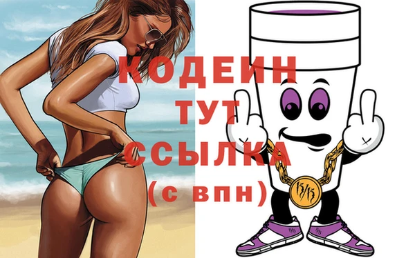 шишки Горняк