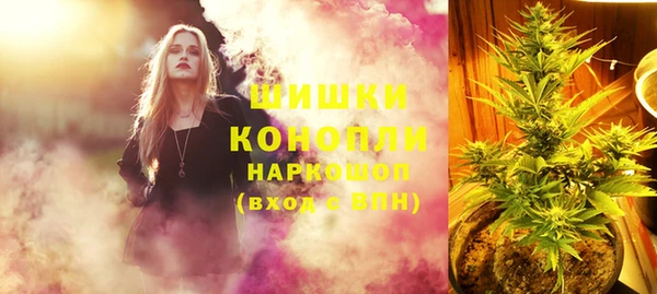 гидра Медвежьегорск